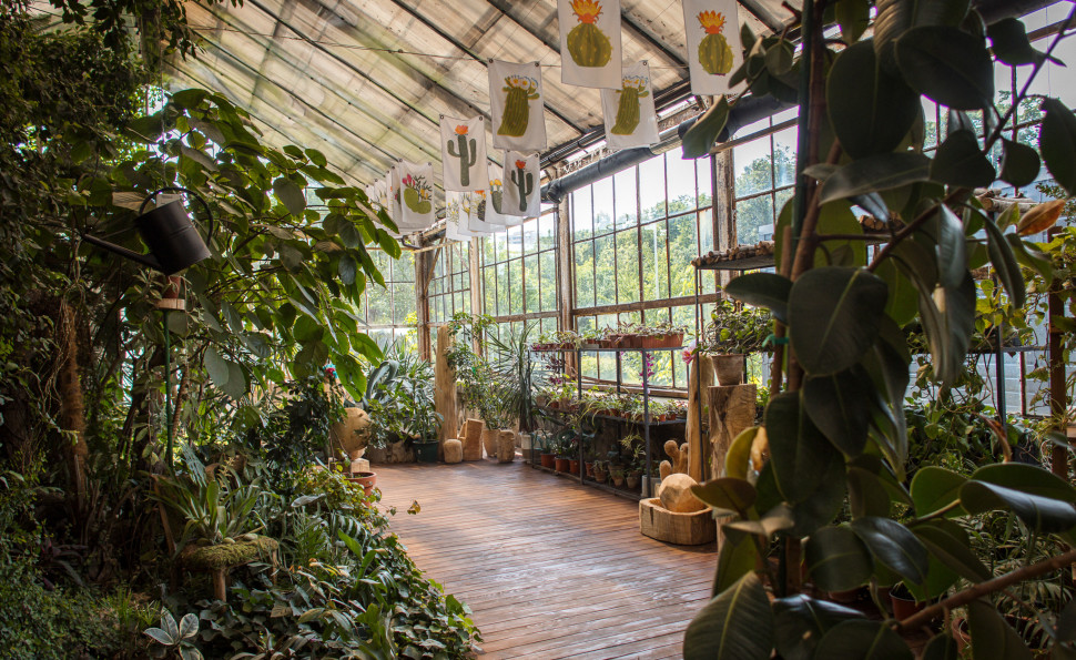 Оранжерея на ВДНГ 