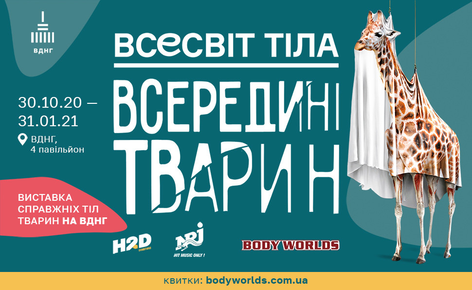 Всесвіт тіла: Всередині тварин
