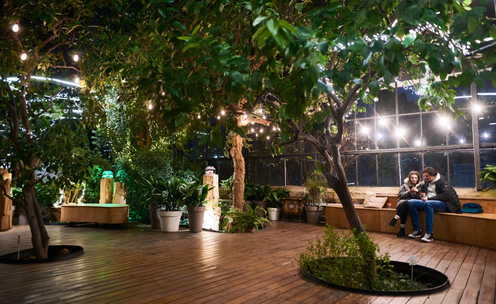 Оранжерея Чар на ВДНГ — місце, де квітнуть казкові історії навіть взимку. 