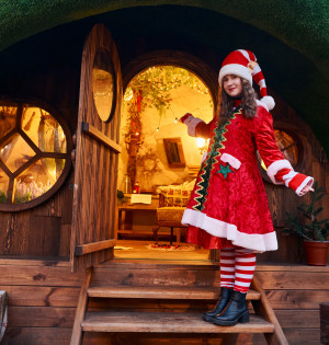 Зимовий Шуміленд на ВДНГ — країна вогнів, казок і зимових пригод