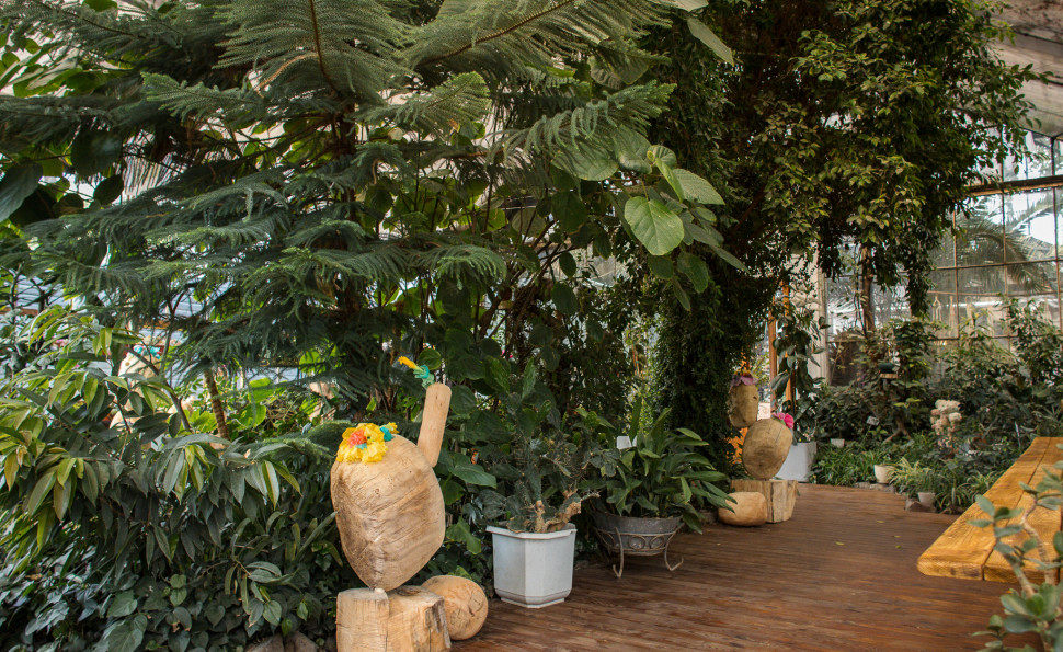 Оранжерея на ВДНГ 