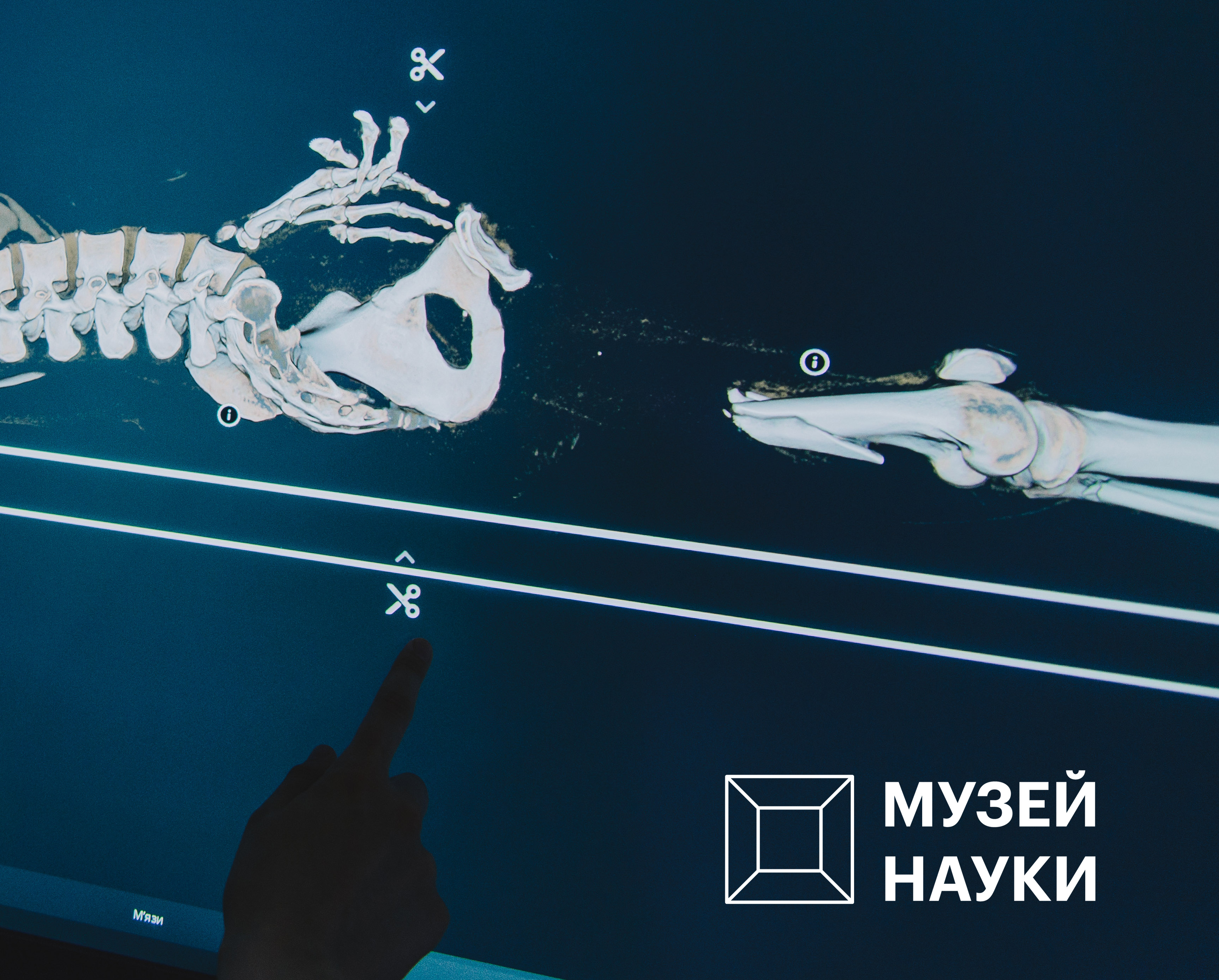 Запустити блискавку, розгадати оптичну ілюзію та привести в дію інтерактивну стелю: що чекає на відвідувачів нового «Музею науки» в Києві