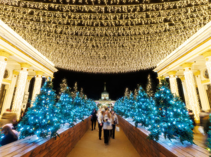 Події на ВДНГ: 31 січня – 1 лютого