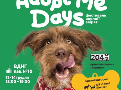 Фестиваль адопції звірят AdoptMe Days на ВДНГ: остання можливість цього року знайти друга