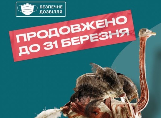 Виставку "Всесвіт тіла: Всередині тварин" продовжено до 31 березня!
