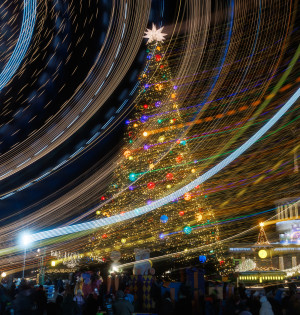 Події на ВДНГ: 17–18 січня