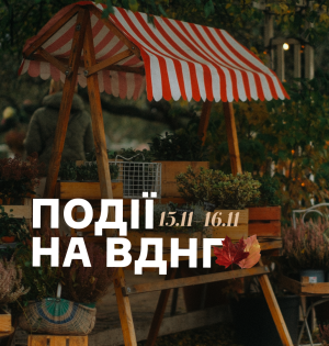 Події на ВДНГ 15–16 листопада: книжкові зустрічі, йога серед лимонів і дитячі пригоди