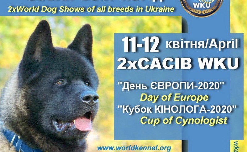 Міжнародні виставки собак всіх порід