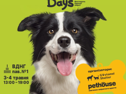 Перший фестиваль адопції звірят AdoptMe Days на ВДНГ