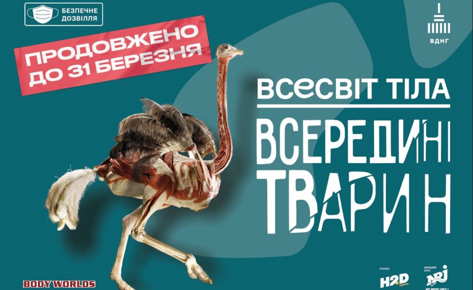 Всесвіт тіла: Всередині тварин