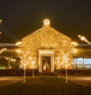 Оранжерея Чар на ВДНГ — місце, де квітнуть казкові історії навіть взимку. 