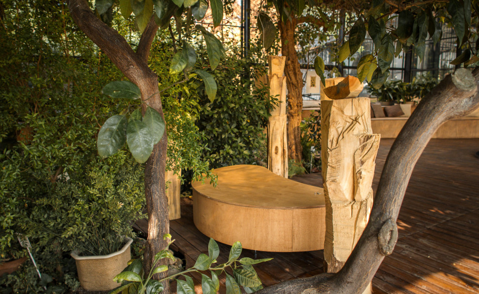 Оранжерея на ВДНГ 