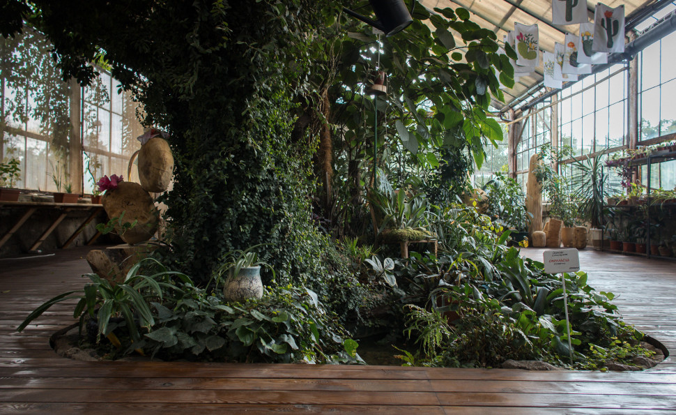 Оранжерея на ВДНГ 