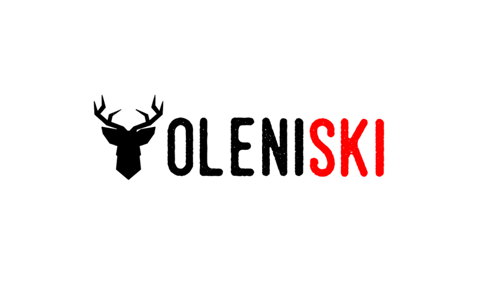 Дитячий табір на ВДНГ OLENISKI