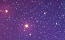 Фонове зображ (форма, 930x300px)