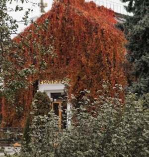 Події на ВДНГ 31 жовтня – 2 листопада: мистецтво, спорт, Гелловін і насолода серед алей