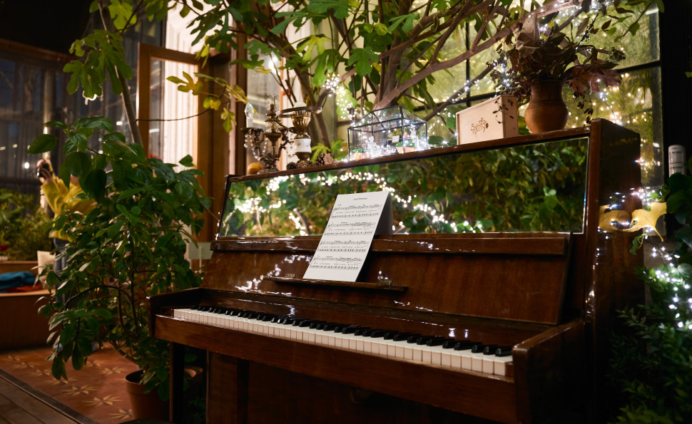 Оранжерея Чар на ВДНГ — місце, де квітнуть казкові історії навіть взимку. 