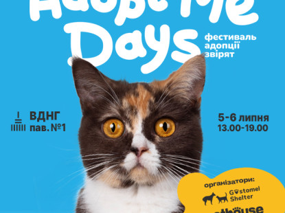 У Києві відбудеться AdoptMe Days: сотням котиків та песиків з притулків шукатимуть петбатьків