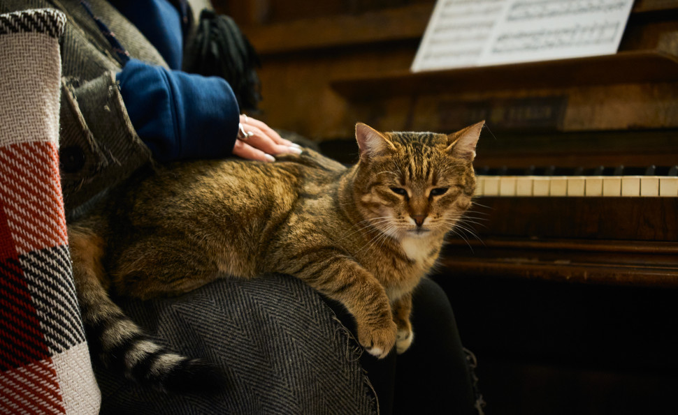 Оранжерея Чар на ВДНГ — місце, де квітнуть казкові історії навіть взимку. 