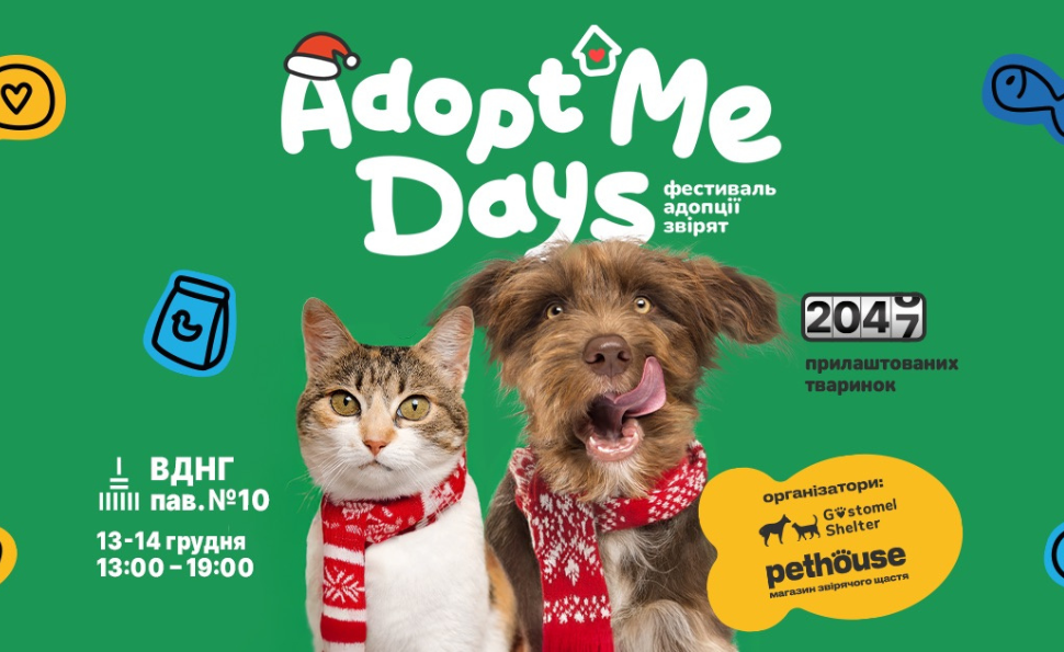Фестиваль адопції звірят AdoptMe Days на ВДНГ: остання можливість цього року знайти друга