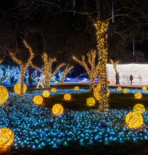 ІЛЮМІНАРІУМ — магія світла, що розквітає зимовими вечорами