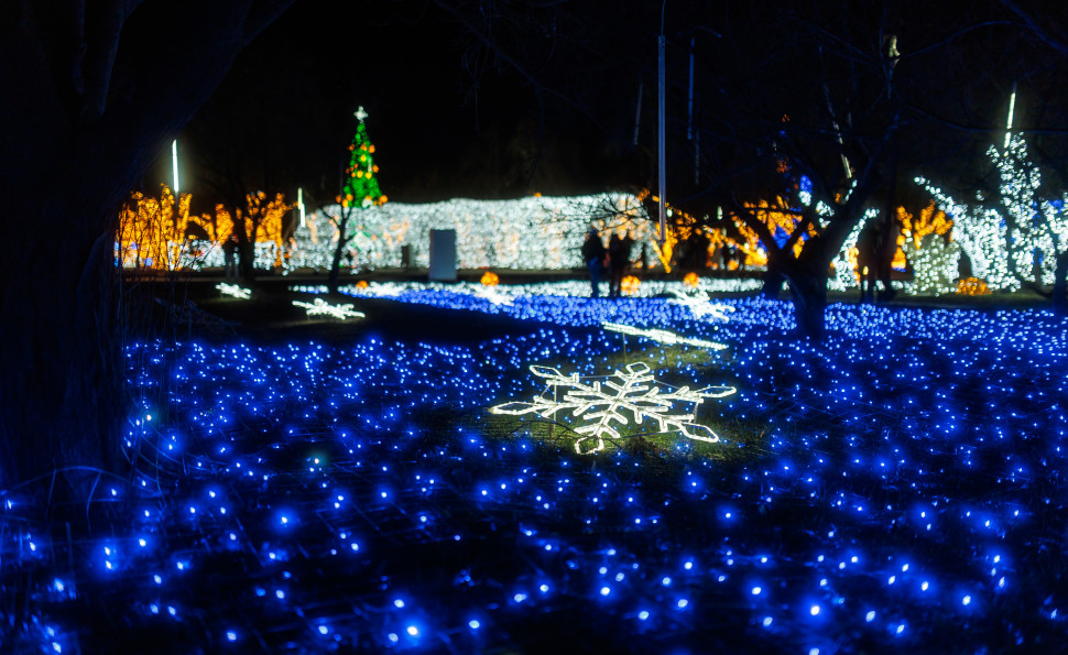 Події на ВДНГ: 10–11 січня