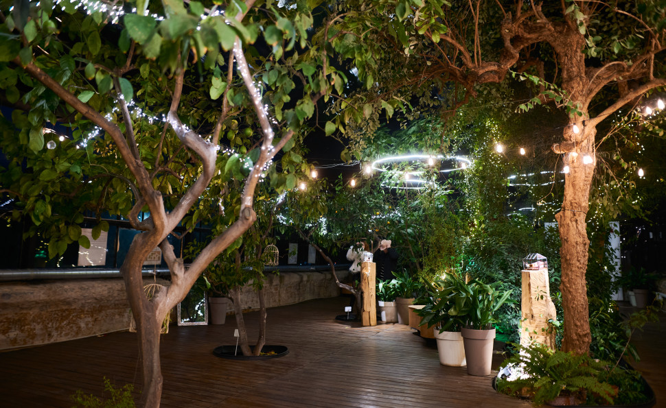 Оранжерея Чар на ВДНГ — місце, де квітнуть казкові історії навіть взимку. 