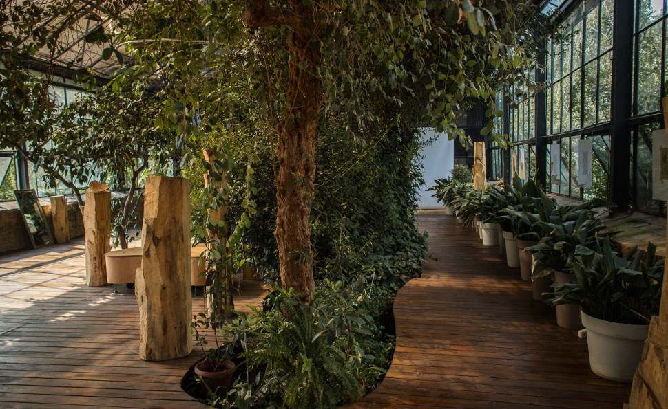 Оранжерея на ВДНГ 