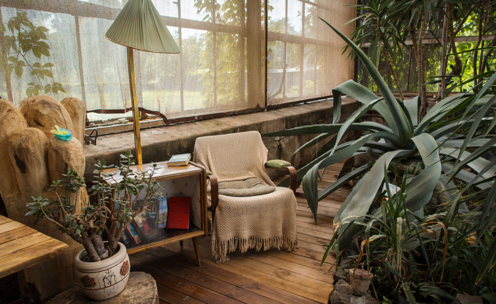 Оранжерея на ВДНГ 