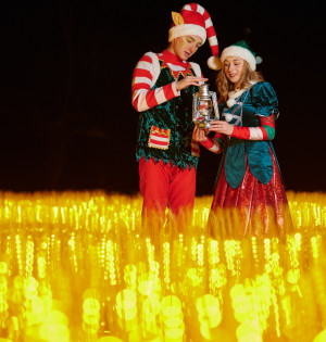 Магія серед темряви: ILLUMINARIUM повертається на ВДНГ з казковими світловими інсталяціями