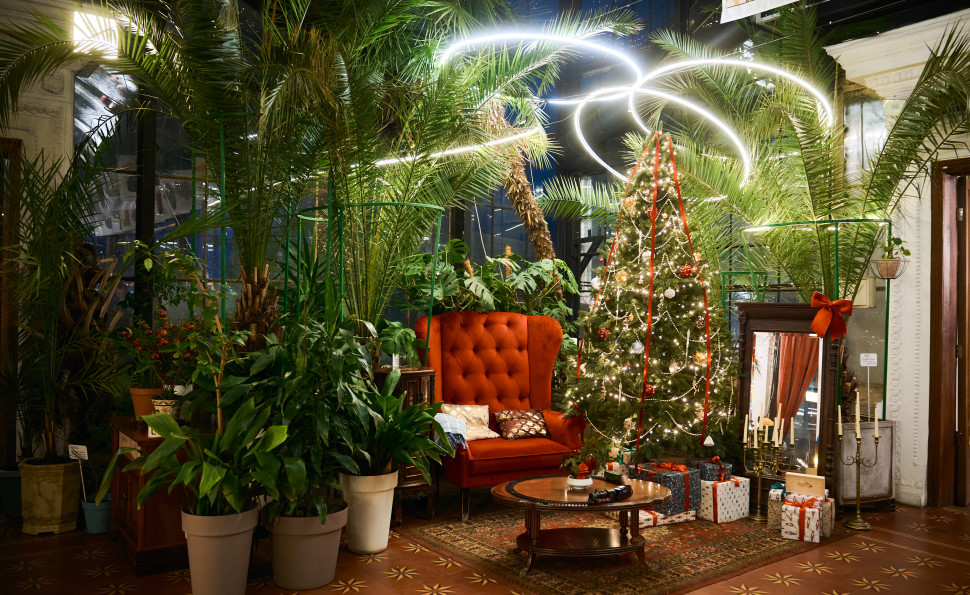 Оранжерея Чар на ВДНГ — місце, де квітнуть казкові історії навіть взимку. 