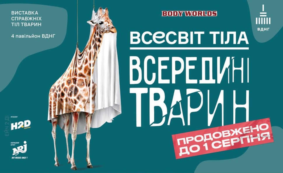 Всесвіт тіла: Всередині тварин