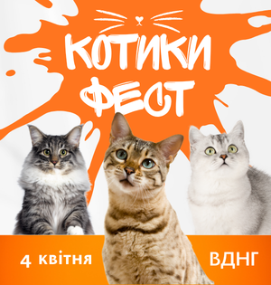КОТИКИ ФЕСТ: найпухнастіша подія цієї весни відбудеться вже 4 квітня