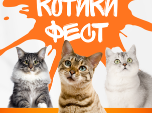 КОТИКИ ФЕСТ: найпухнастіша подія цієї весни відбудеться вже 4 квітня