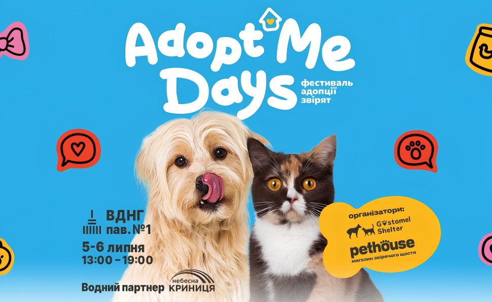 У Києві відбудеться AdoptMe Days: сотням котиків та песиків з притулків шукатимуть петбатьків