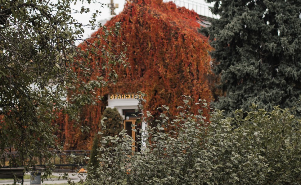 Події на ВДНГ 31 жовтня – 2 листопада: мистецтво, спорт, Гелловін і насолода серед алей