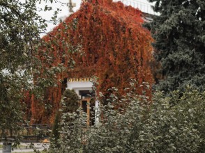 Події на ВДНГ 31 жовтня – 2 листопада: мистецтво, спорт, Гелловін і насолода серед алей