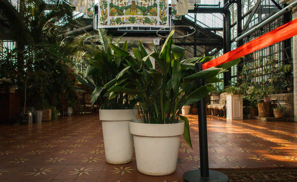 Оранжерея на ВДНГ 