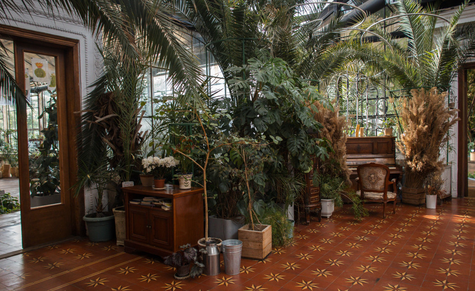 Оранжерея на ВДНГ 