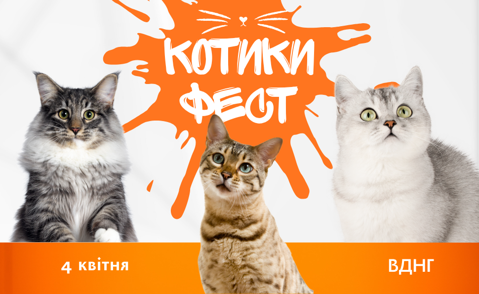 КОТИКИ ФЕСТ: найпухнастіша подія цієї весни відбудеться вже 4 квітня
