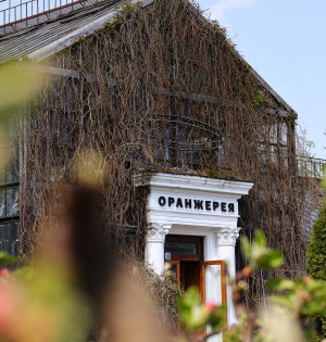 Оранжерея на ВДНГ 